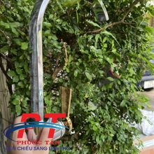 Vòi chén 6 dẹp bóng tay vàng