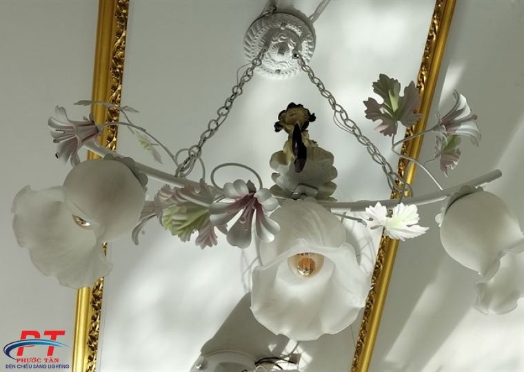 Đèn chùm PTDC815-3